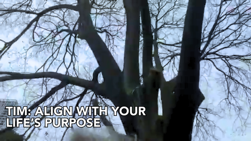 Tim: Align with your life’s purpose
